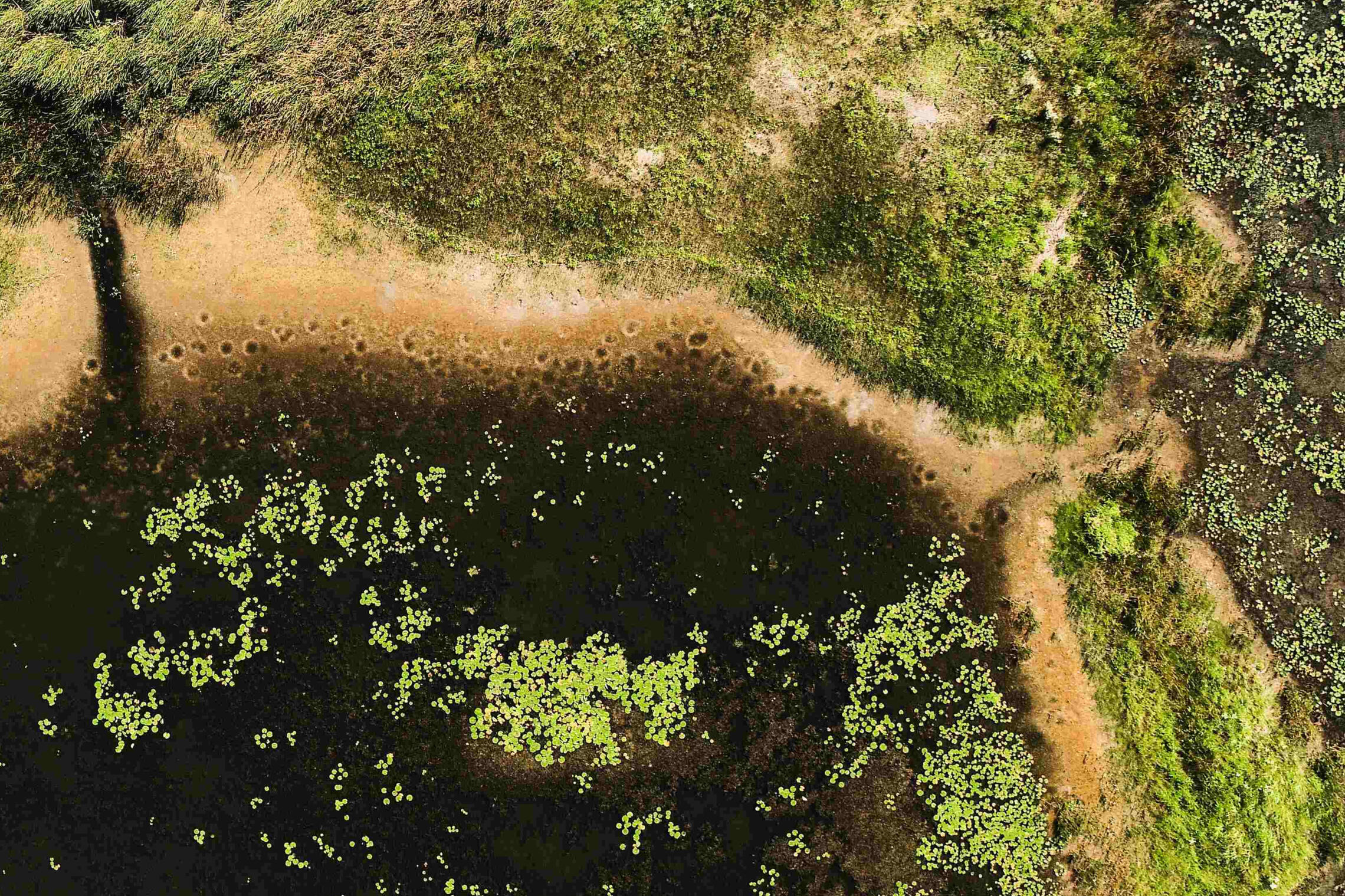 Ramsar site near Lake Erie
